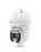 IPEL-P8040X-IRW2-AI