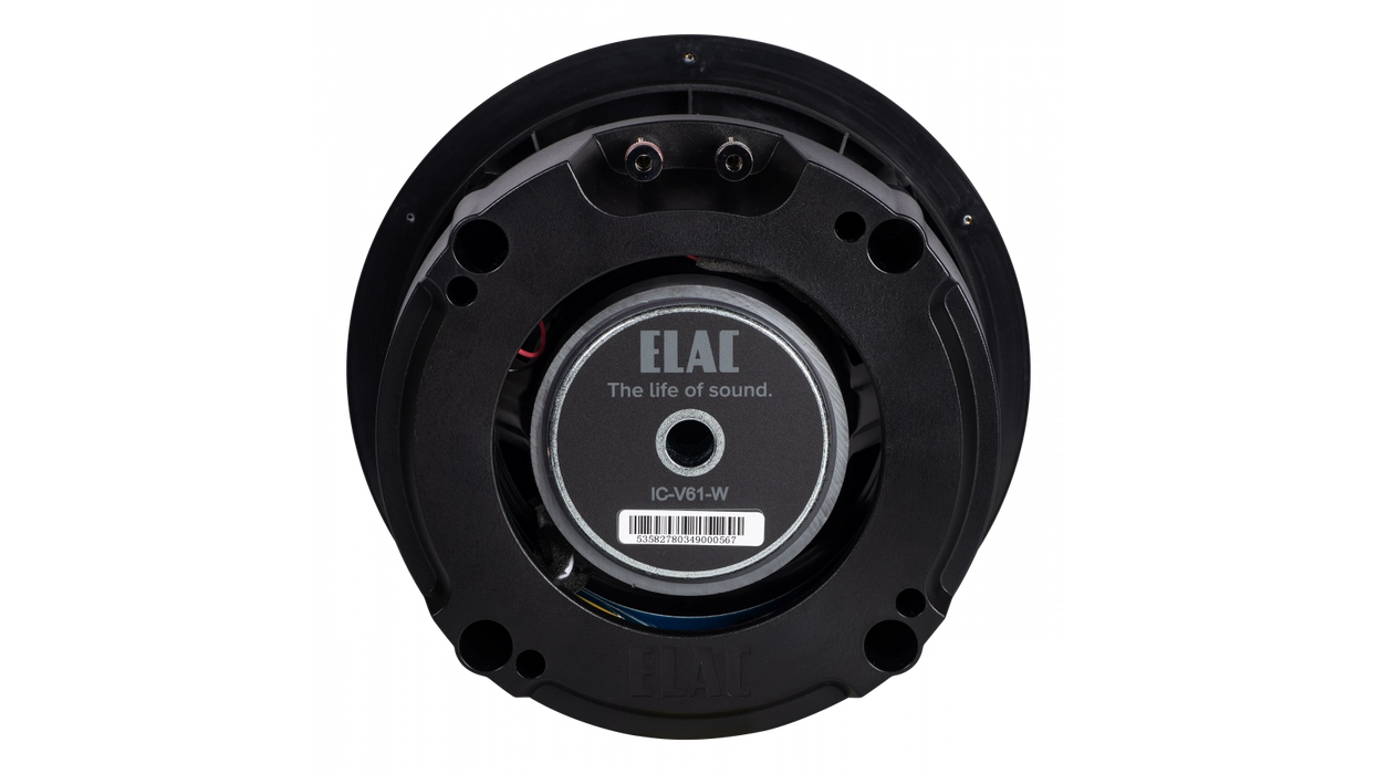 IC-V61-W