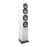ARF51-GW
