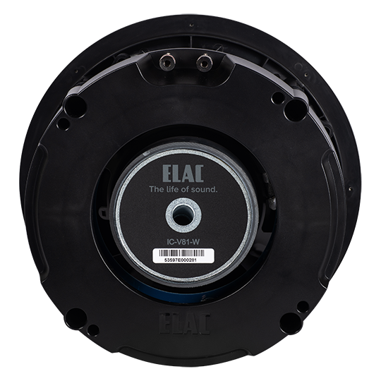 IC-V81-W